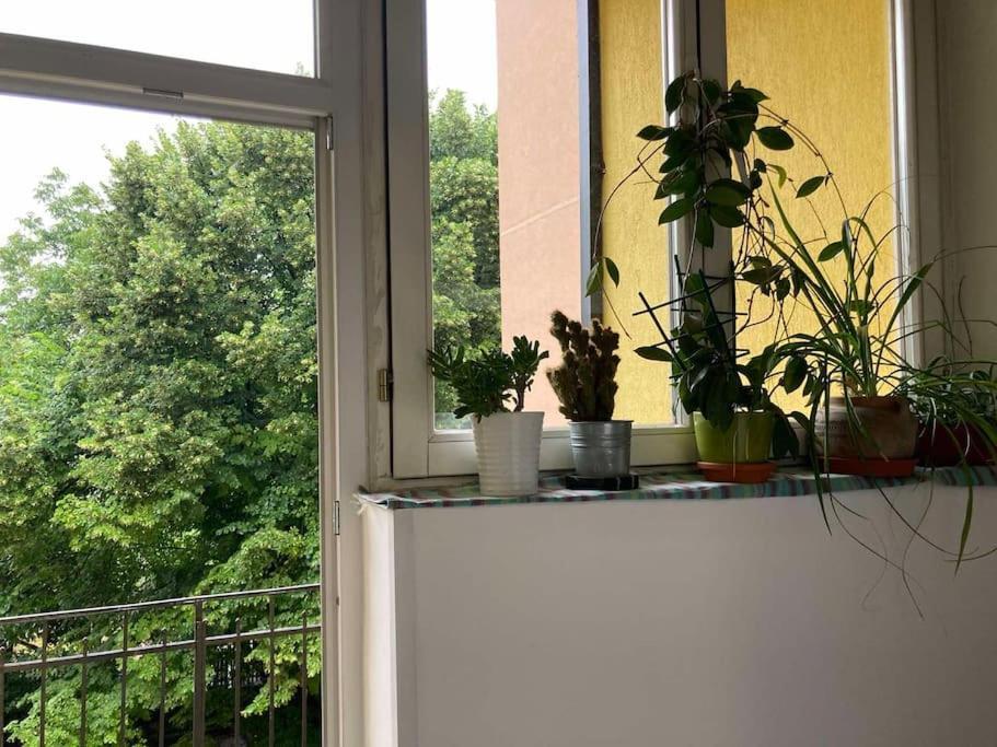 Oh Lola! Leilighet Beograd Eksteriør bilde